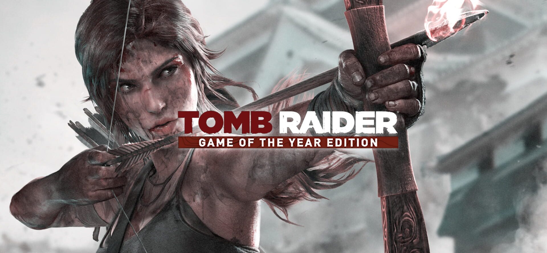 Tomb Raider: Game of the Year Edition artwork 1