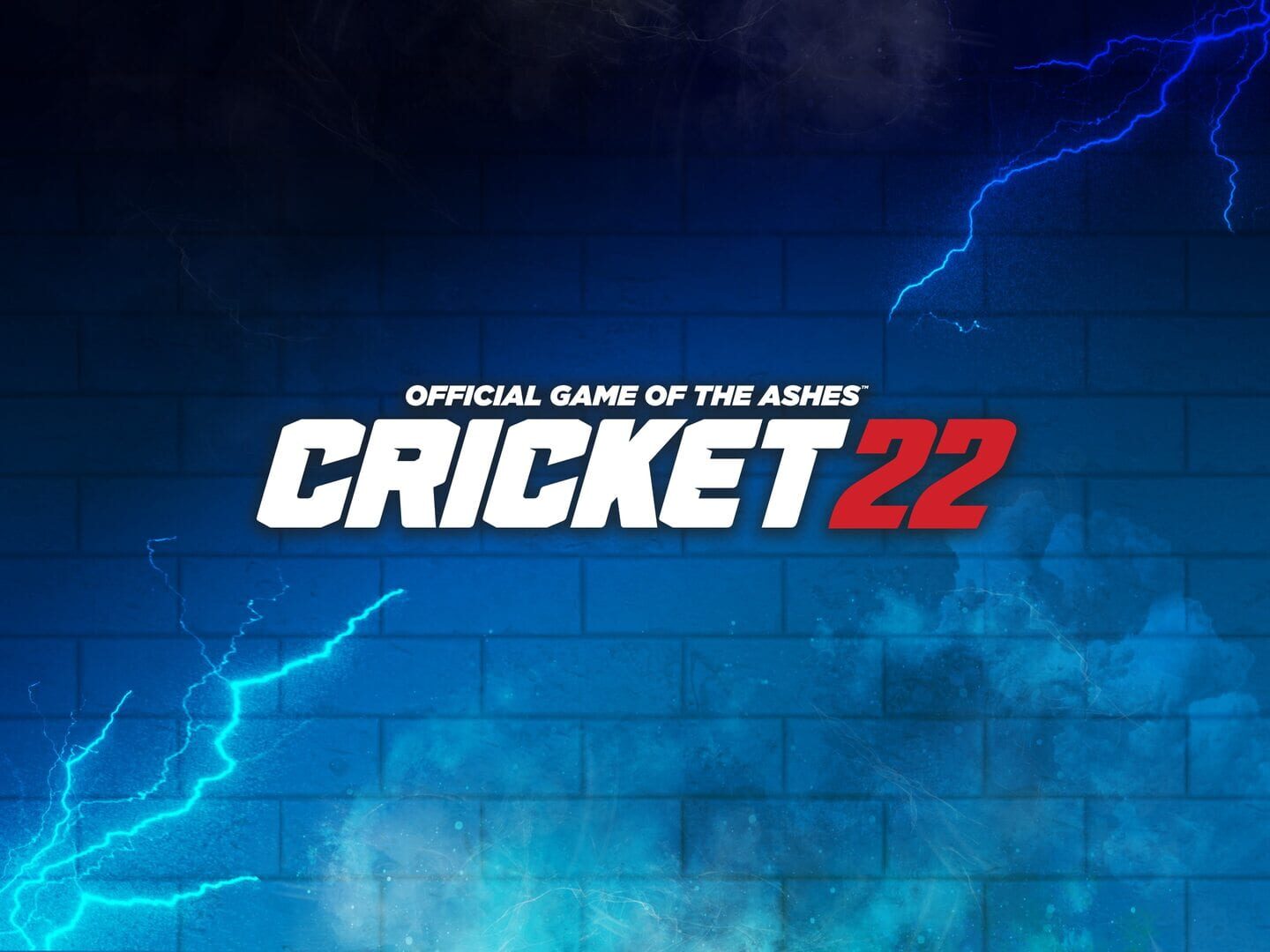 Cricket 22 artwork 1