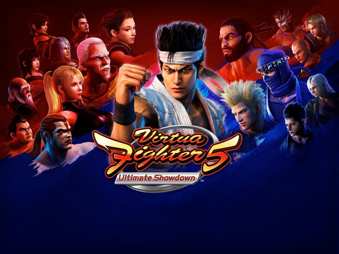 Virtua Fighter 5: Ultimate Showdown artwork 1
