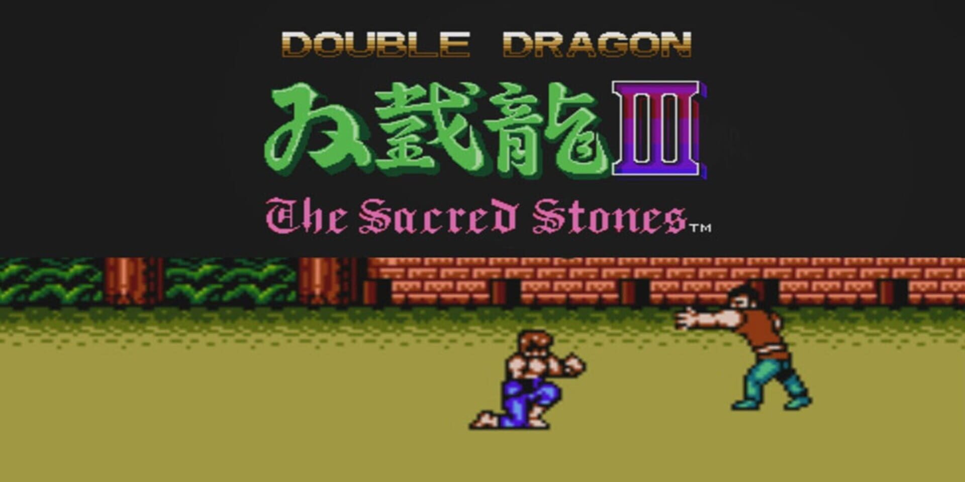 Double Dragon III: The Sacred Stones artwork 1