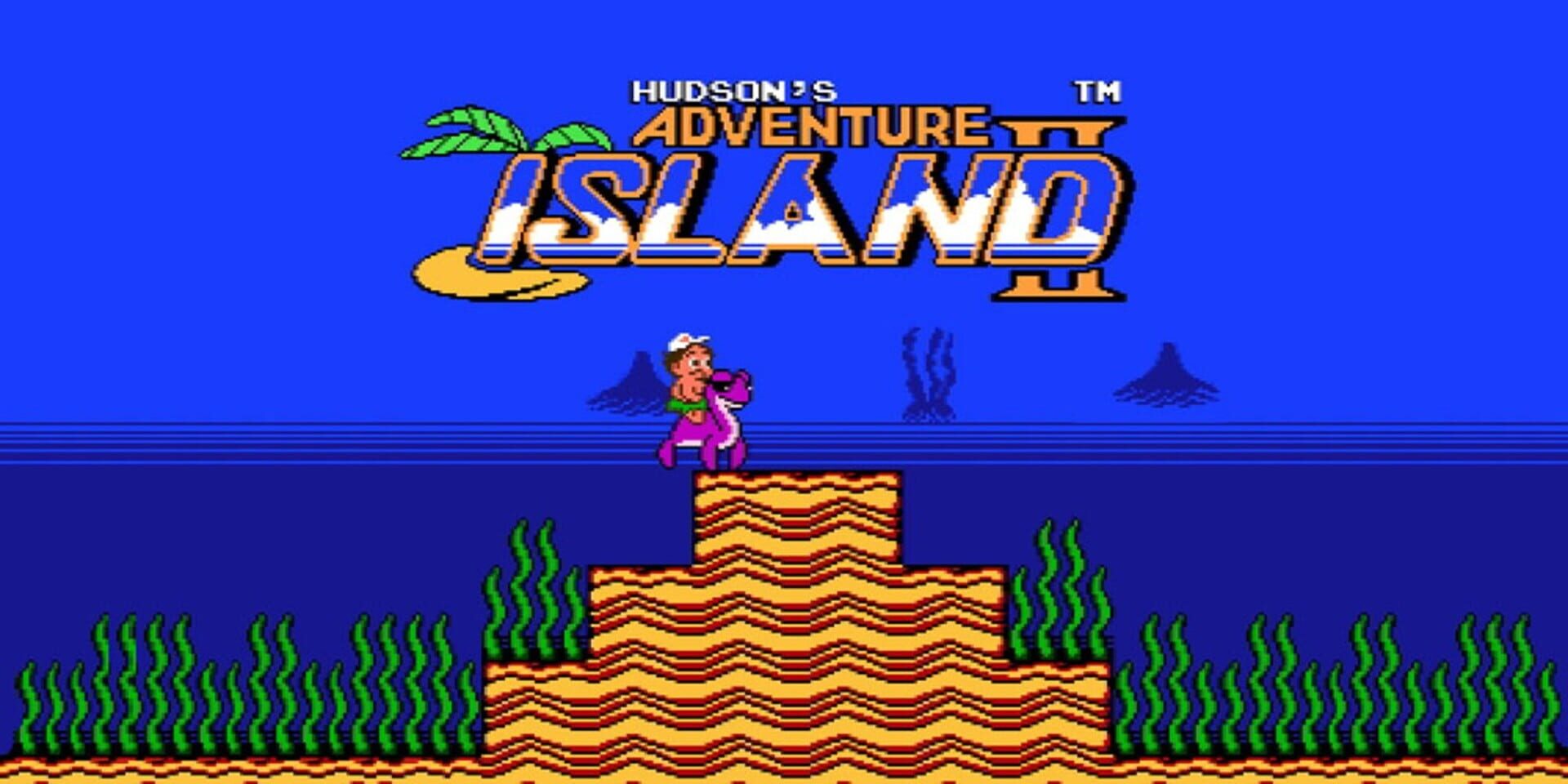 Adventure Island II artwork 1