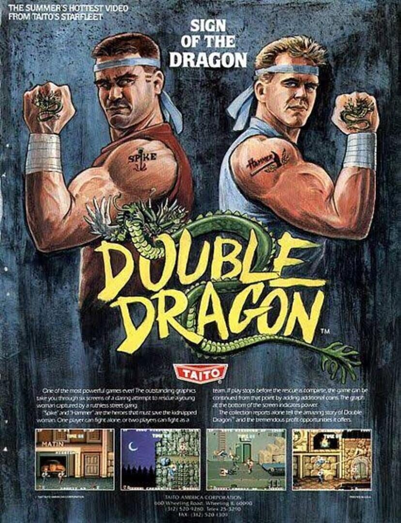 Double Dragon artwork 1
