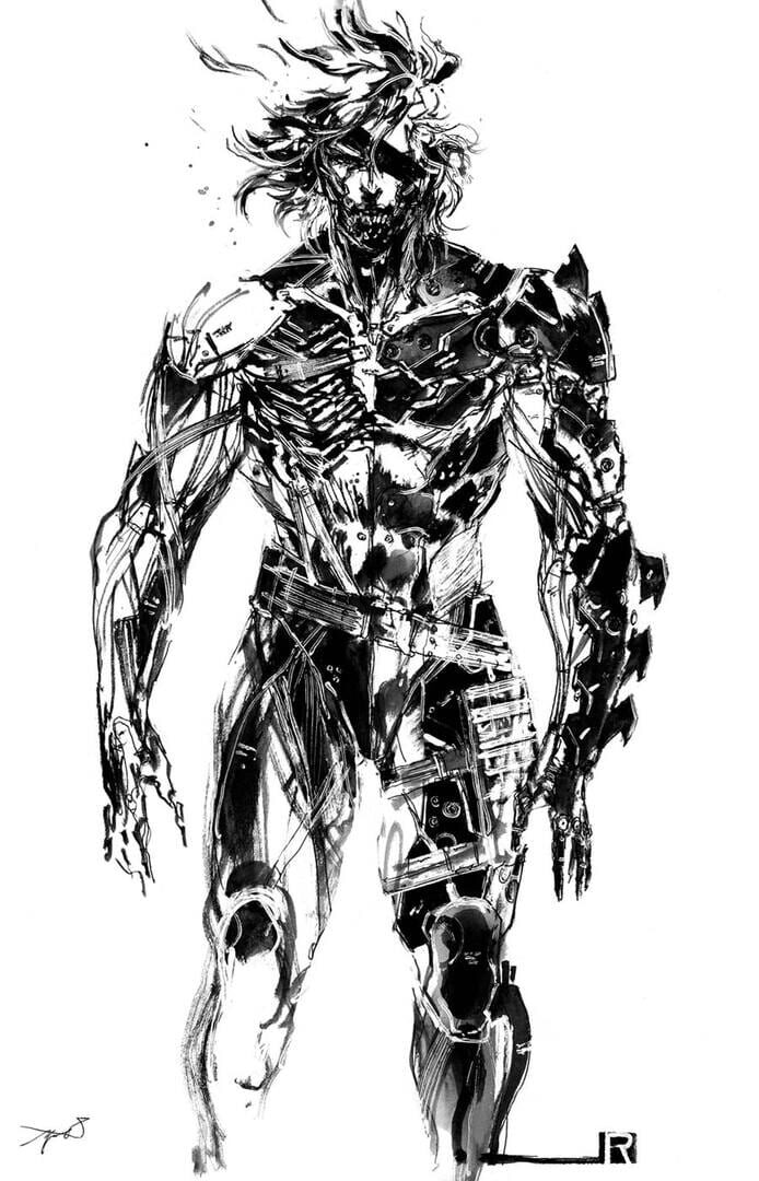 Metal Gear Rising: Revengeance artwork 1