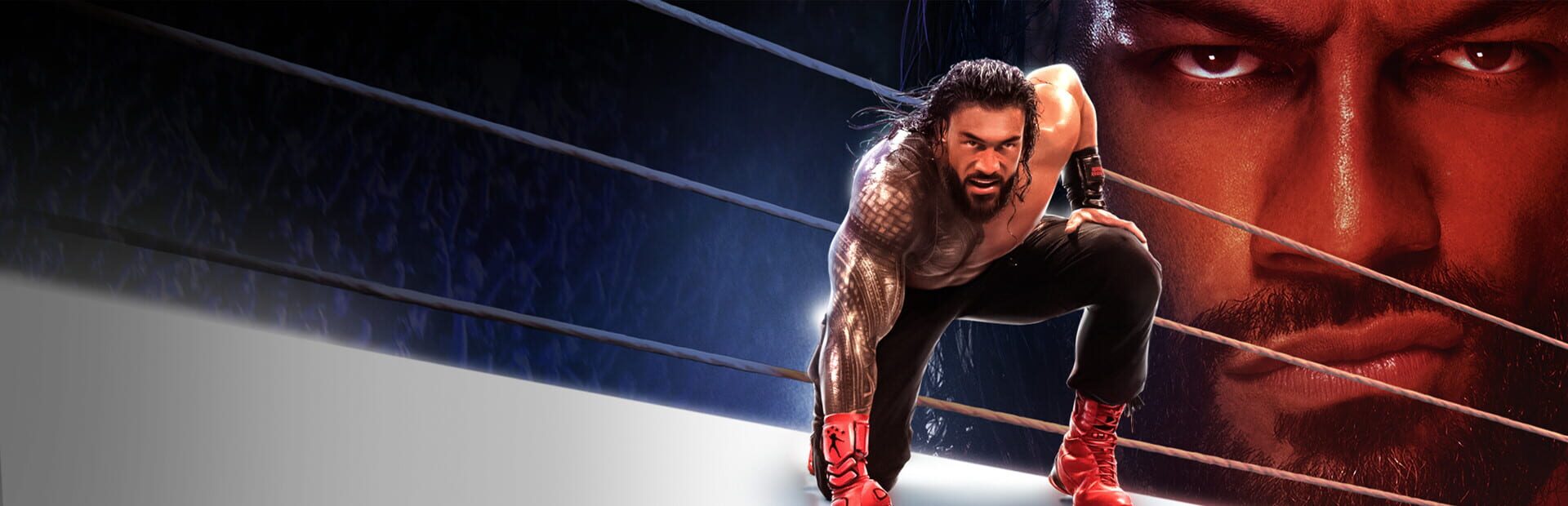 WWE 2K25 artwork 1