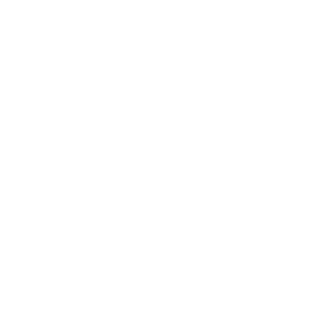Need for Speed: Underground 2 artwork 1