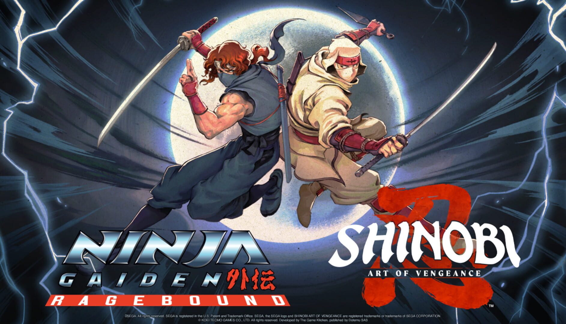 Path of the Ninja Bundle artwork 1