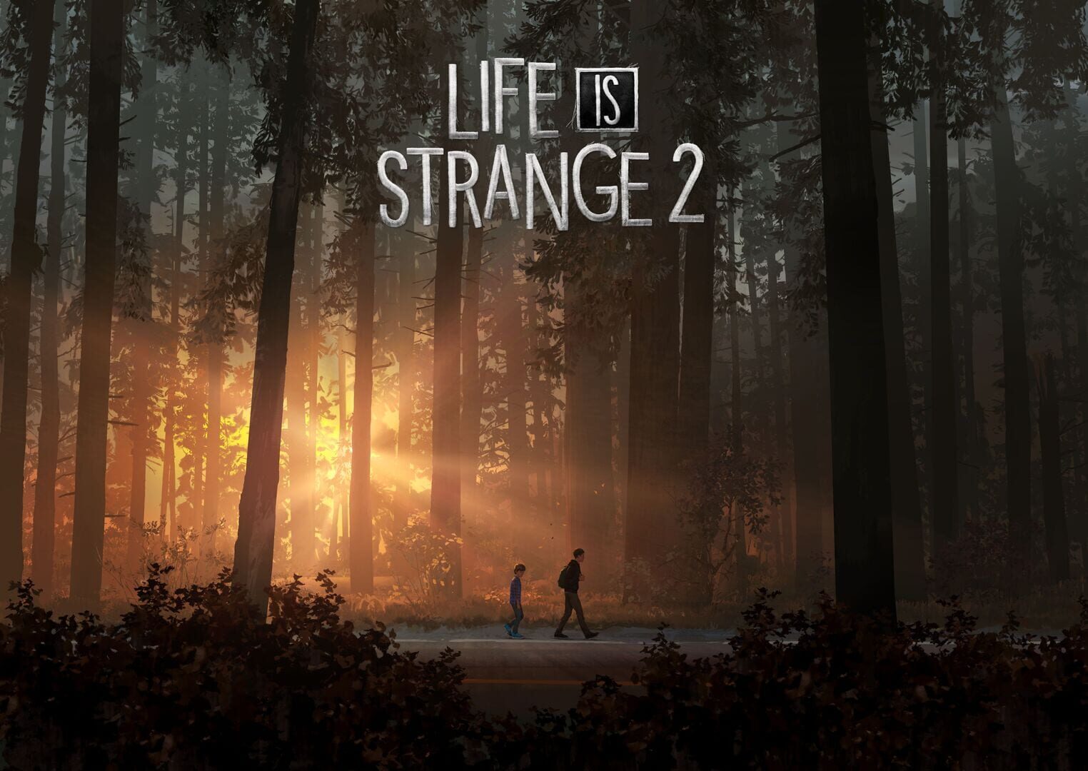 Life is Strange 2 artwork 1