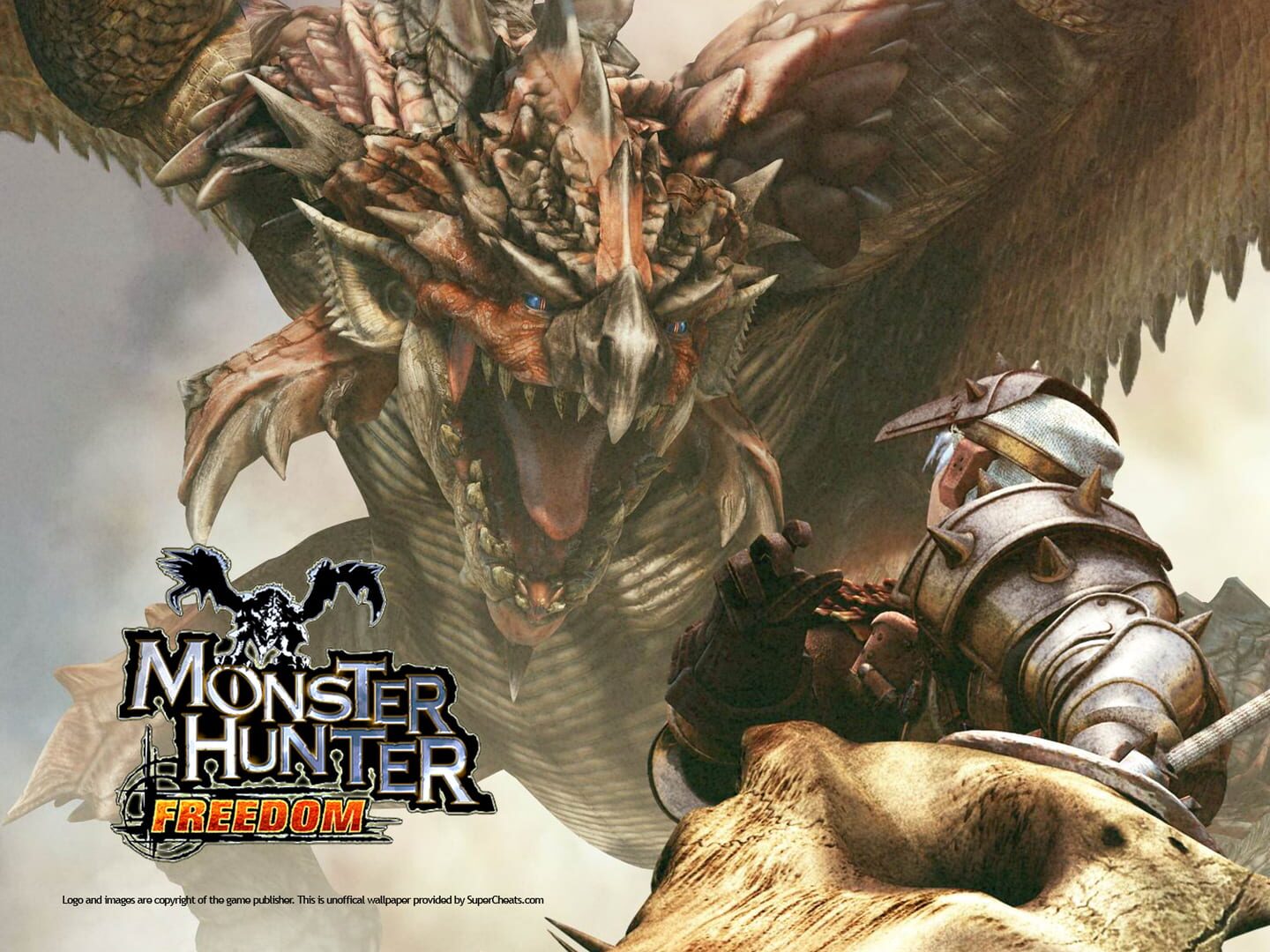 Monster Hunter Freedom artwork 1