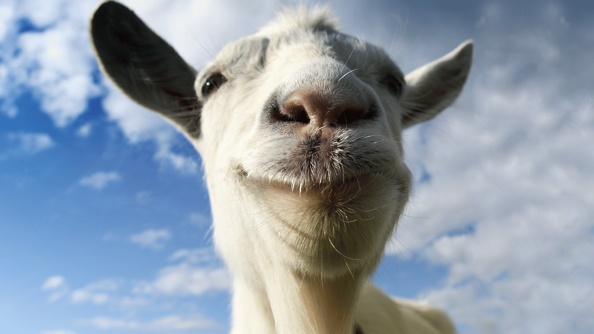 Goat Simulator artwork 1