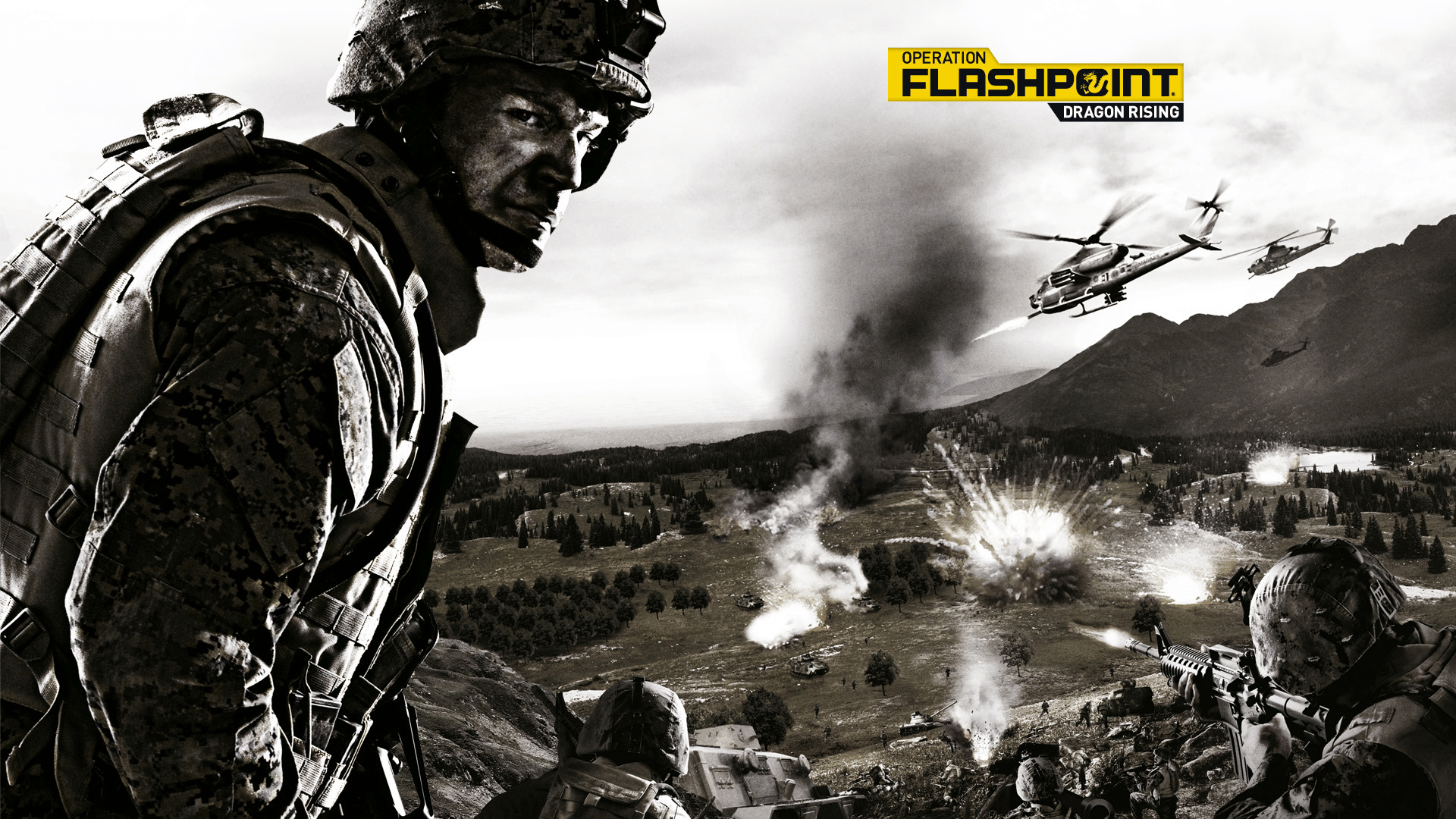 Operation Flashpoint: Dragon Rising artwork 1