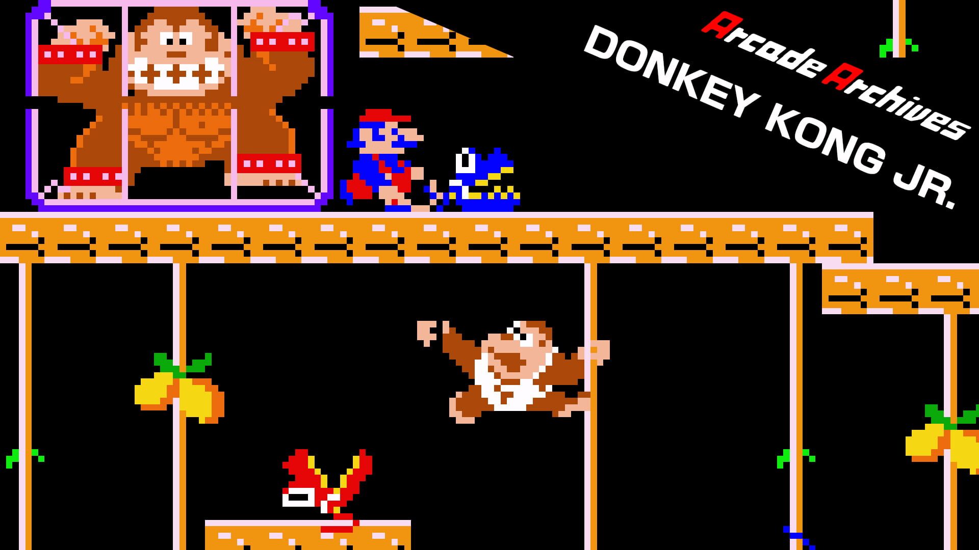 Arcade Archives: Donkey Kong Jr. artwork 1