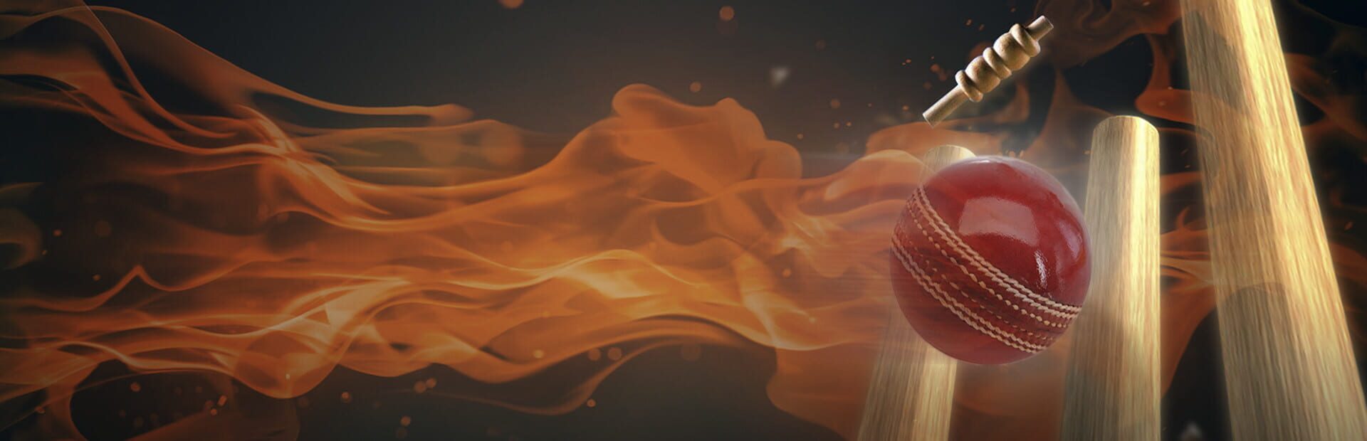 Ashes Cricket artwork 1