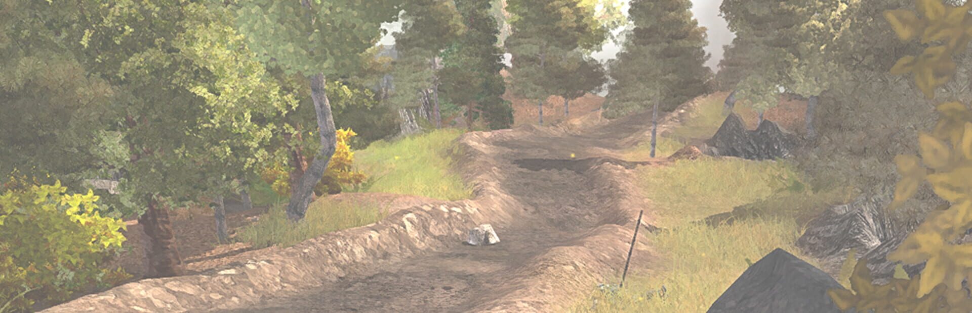 Silverfall artwork 1
