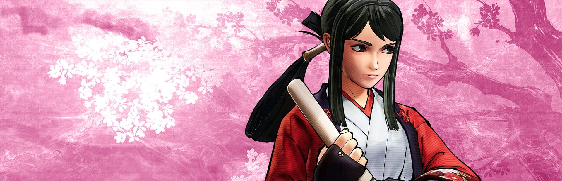 Samurai Shodown: Hibiki Takane artwork 1