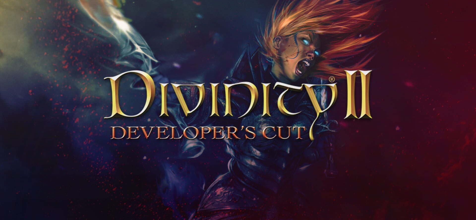 Divinity II: Developer's Cut artwork 1