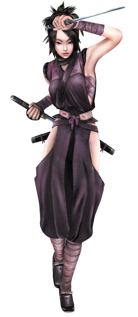 Tenchu: Fatal Shadows artwork 1