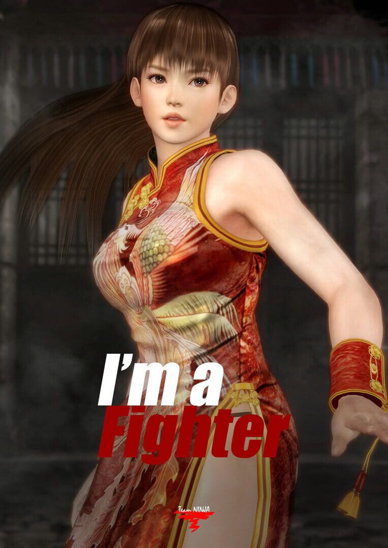 Dead or Alive 5 artwork 1