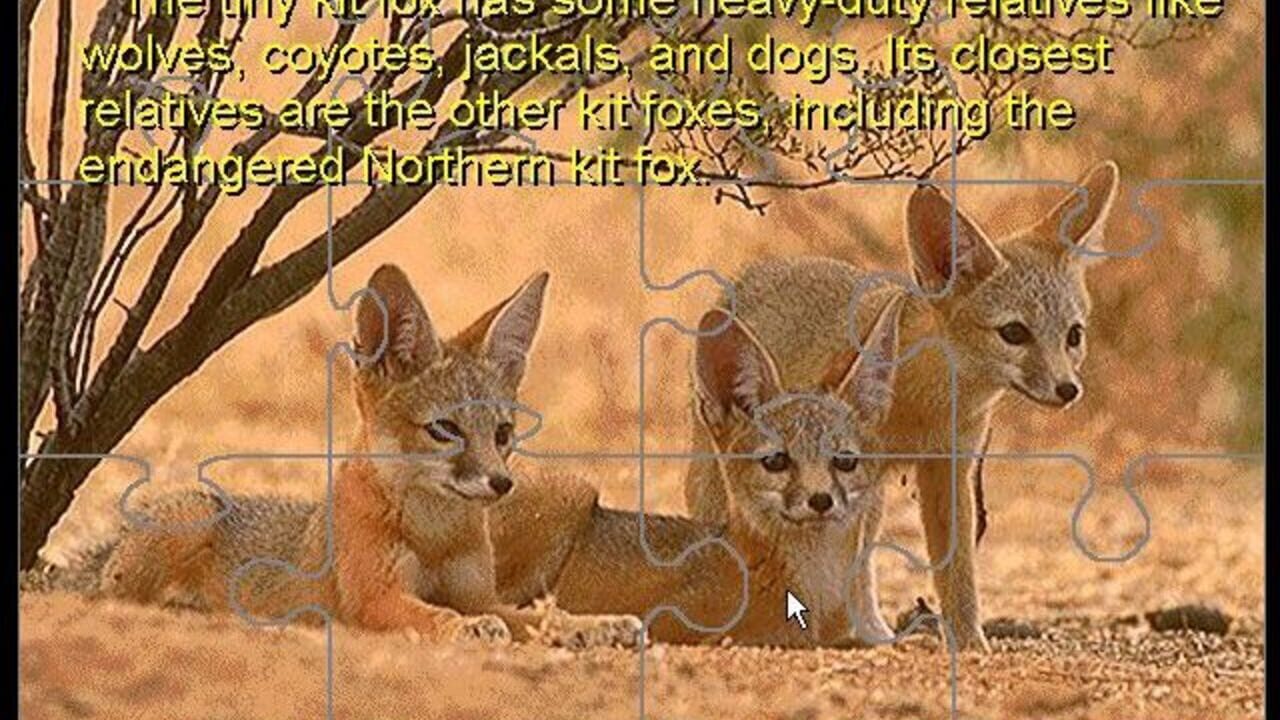 David Bellamy's Endangered Wildlife screenshot 1