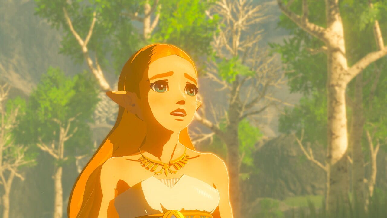 The Legend of Zelda: Breath of the Wild and The Legend of Zelda: Breath of the Wild Expansion Pass Bundle screenshot 1