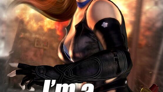 Dead or Alive 5 artwork 7