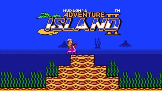 Adventure Island II artwork 1
