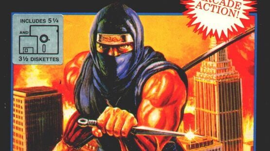 Ninja Gaiden artwork 1