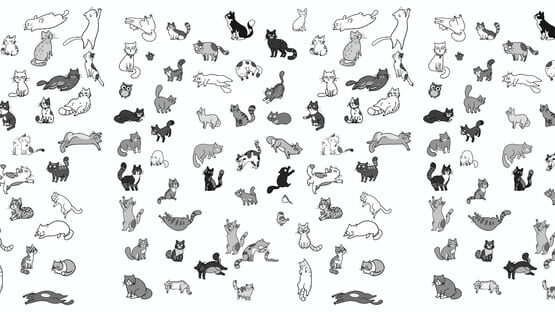 HiPurrLand artwork 1