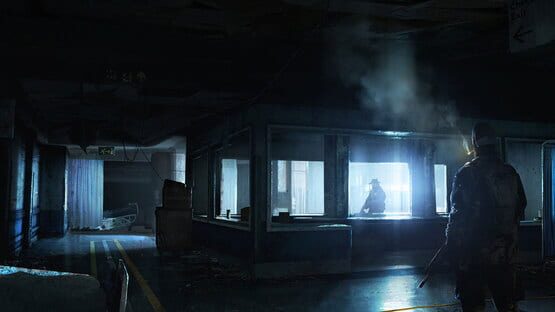 The Last of Us artwork 9