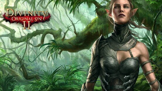 Divinity: Original Sin II artwork 8