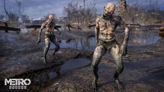 Metro Exodus artwork 9