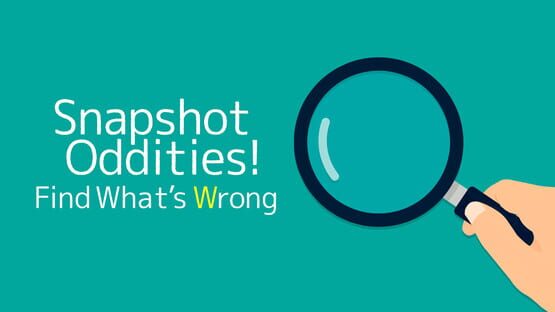 Snapshot Oddities! Find What's Wrong artwork 1