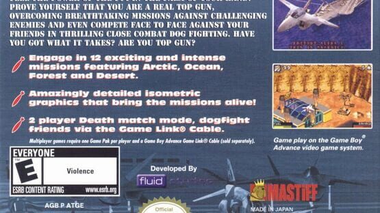 Top Gun: Firestorm Advance artwork 2