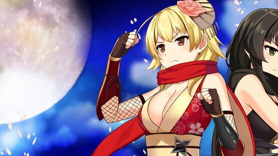 Moe! Ninja Girls artwork 1
