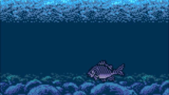 Legend of the River King 2 screenshot 1