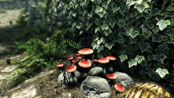 The Elder Scrolls V: Skyrim - Special Edition screenshot 4