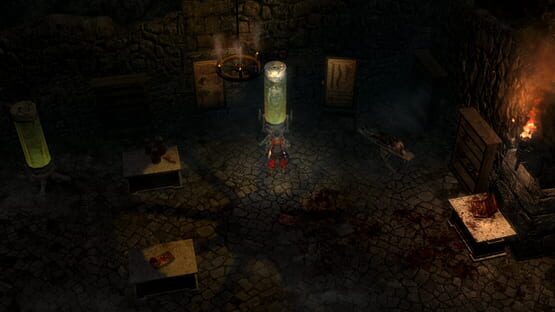 Grim Dawn screenshot 2