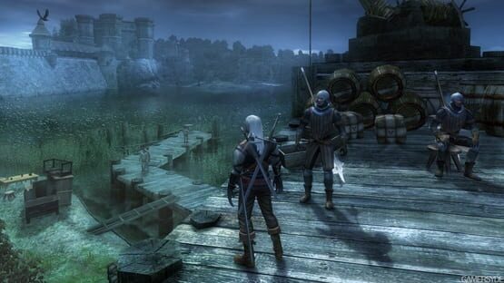 The Witcher screenshot 5