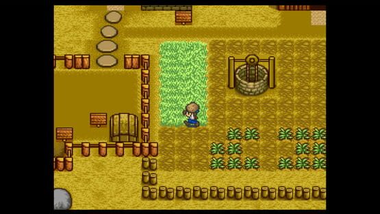 Harvest Moon screenshot 2