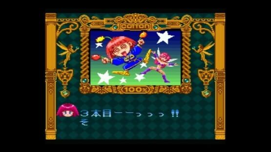 Cotton 100% screenshot 12