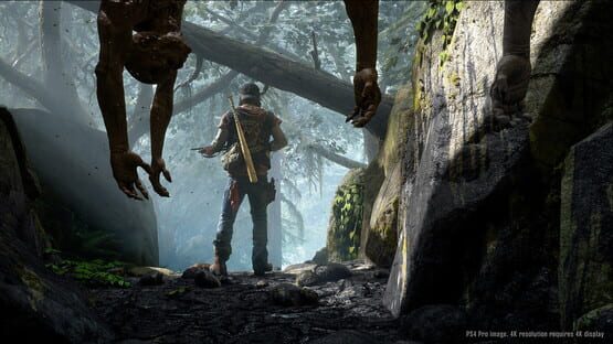 Days Gone screenshot 10