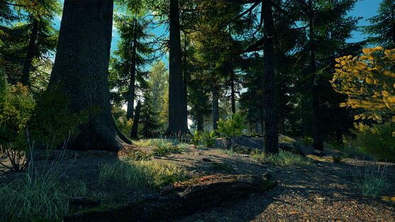 Vestige of the Past screenshot 5
