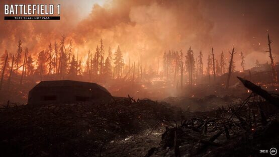 Battlefield 1: They Shall Not Pass screenshot 2