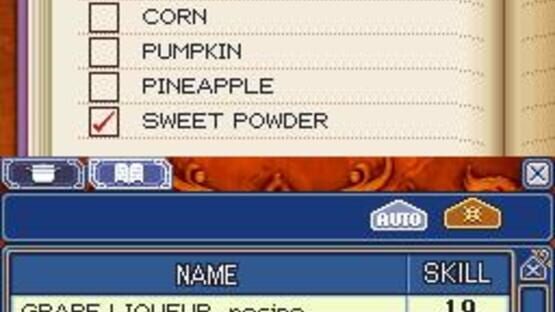 Rune Factory 2: A Fantasy Harvest Moon screenshot 1
