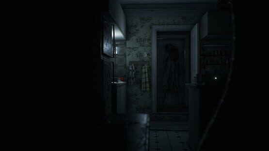 Visage screenshot 1