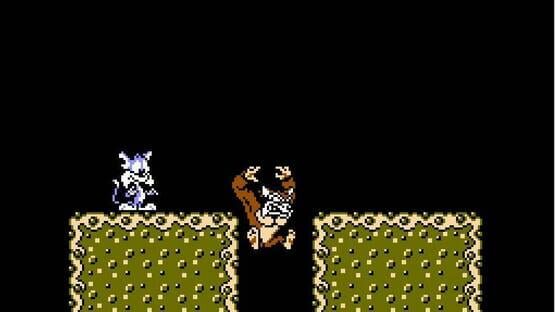 Tiny Toon Adventures screenshot 3