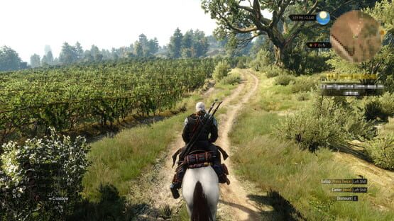 The Witcher 3: Wild Hunt - Hearts of Stone screenshot 3
