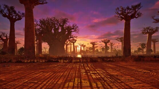 Tekken 8: Baobab Horizon screenshot 1