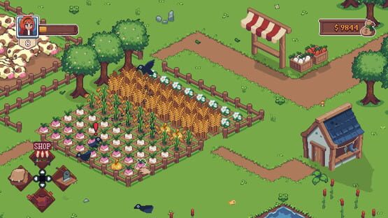 Bundle with 19 Games screenshot 6