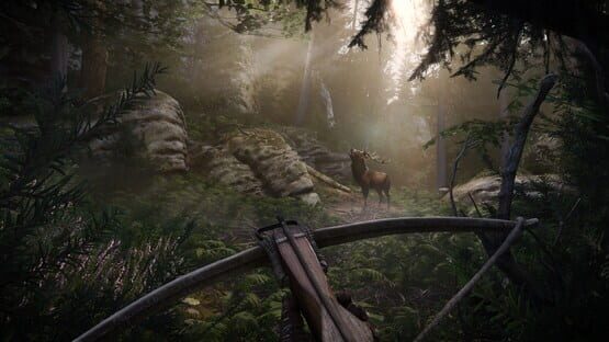 Kingdom Come: Deliverance II - Royal Edition screenshot 4