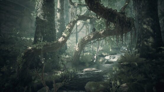 Ancestors: The Humankind Odyssey screenshot 4